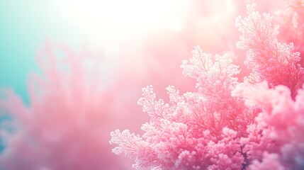 Naklejka premium Pastel Pink Frost Covered Branches Winter Scene