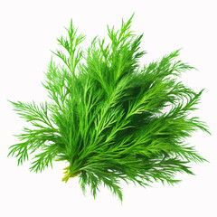 Fototapeta premium Bunch fresh green dill on a white background. Greens vector illustration (1)