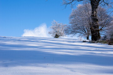 Obraz premium Zima w Beskidach, szlak na Kotarz Brenna w pięknej zimowej pogodzie 