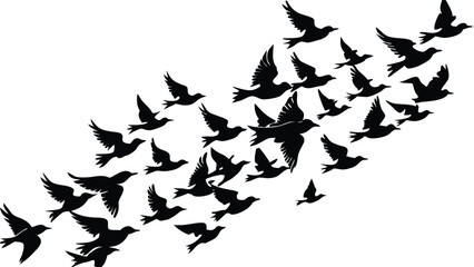 Flock of Birds in Formation
