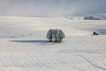 An idyllic view over the South Downs, on a snowy winter's day