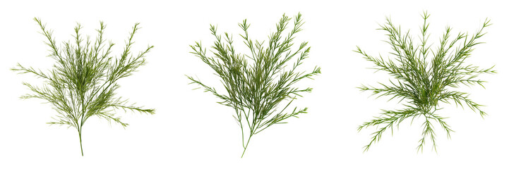 Fototapeta premium Set of A farmer harvesting wheat with a tractor in a vast countryside on transparent png background