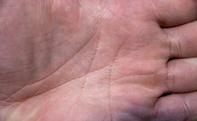 Close-up of a human palm showing fine lines and textures, representing fingerprints and skin details.