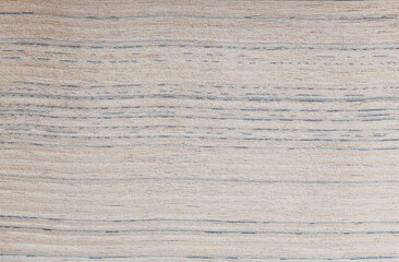 Naklejka premium Macro photo of closed book pages, paper texture from the front, background