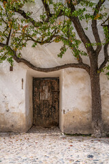 Alte Holzt&uuml;r in einem alten Geb&auml;ude umrahmt von einem Baum