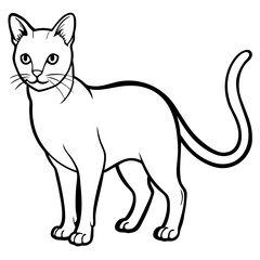 illustration of a cat