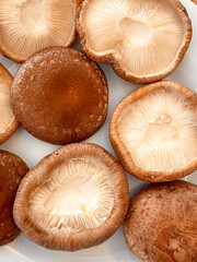 Deliciosos cogumelos marrons em um prato branco em close