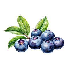 Obraz premium Freshly Picked Blueberries: A cluster of ripe, juicy blueberries with lush green leaves, hand-painted in watercolor, evokes the sweetness and freshness of summer. 