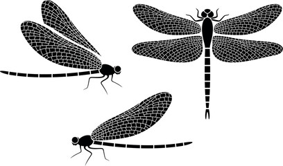 Dragonfly logo. Isolated dragonfly on white background