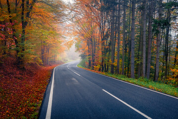 Fototapeta premium Fabulous autumn view of asphalt road in Austrian Alps among trees covered with orange and crimson leaves. Beautiful morning scene of mountain woodland, Austria, Europe. Travel concept background.