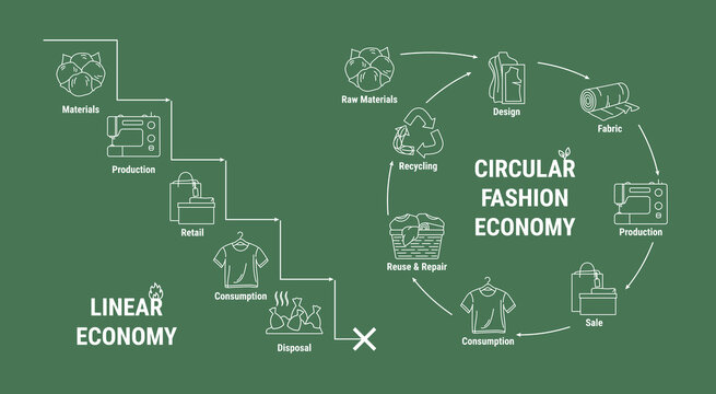 Comparison of linear and circular fashion economy infographic. Scheme of product life cycle from raw material to production, consumption, reuse, upcycling, recycling. Sustainable fashion model