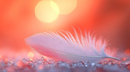 Naklejka premium Delicate white feather on sparkling surface at sunset.
