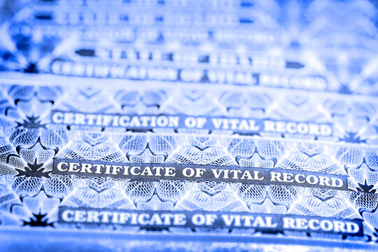 Certificate of Vital Records for Birth Official Documents