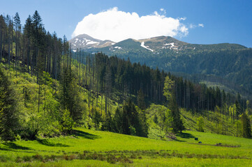 Tatry - górskie szczyty widziane z Doliny Kościeliskiej © Sebastian