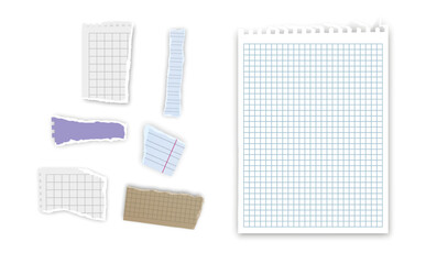 Set of torn paper fragments isolated on background, Vector illustration