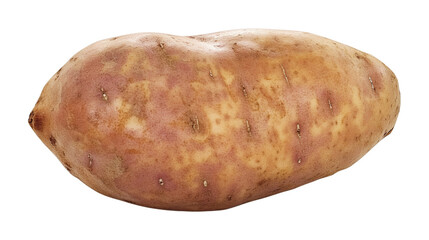 Sweet potato, isolated on transparent or white background