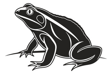 frog on white background