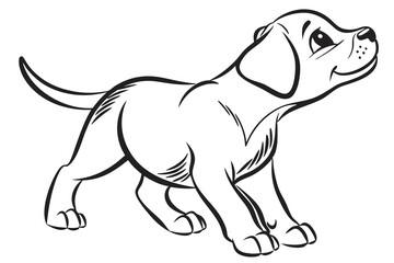 A black color line art  (Toad) minimalist simple vector with a white background