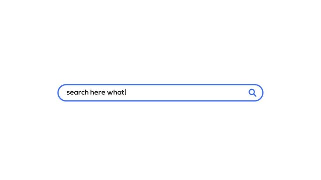 search bar motion graphics animation for web business