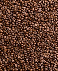 Fototapeta premium Freshly roasted coffee beans spread evenly across a textured surface