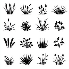 A variety of black silhouette grass and plant designs, perfect for nature-themed illustrations.