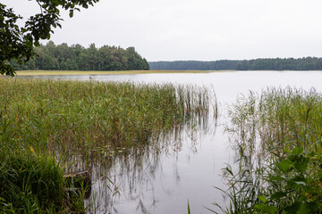 Sciurys cape trail between two lakes - Baltieji Lakajai and Juodieji Lakajai