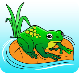 green frog vector illustration isolated on white background