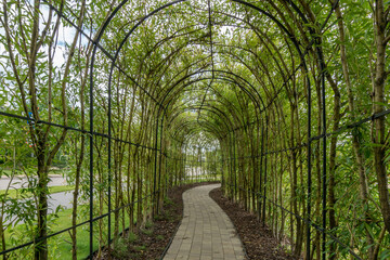 A green corridor in the garden and park area. Hemispherical frames, entwined with willow .branches,...