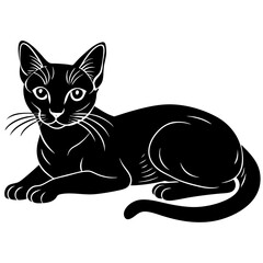 abyssinian cat black silhouette vector with white background, Pet animal silhouette