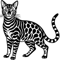 bengal cat black silhouette vector with white background, Pet animal silhouette