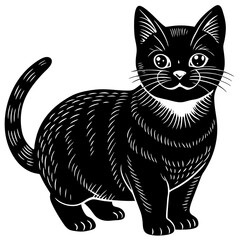 british shorthair cat black silhouette vector with white background, Pet animal silhouette
