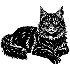 maine coon cat black silhouette vector with white background, Pet animal silhouette