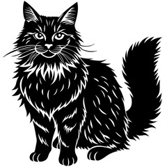 maine coon cat black silhouette vector with white background, Pet animal silhouette