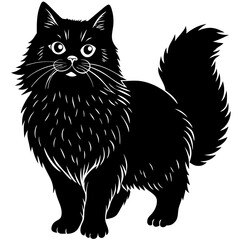 persian cat black silhouette vector with white background, Pet animal silhouette