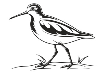 Obraz premium A black color line art Redshank