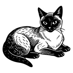 siamese cat black silhouette vector with white background, Pet animal silhouette