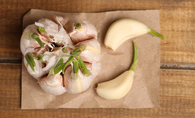 set of garlic cloves on paper top view