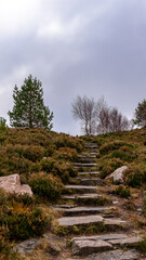 Stone steps through a heather landscape in Scotland, UK, taken on 2024-11-03.