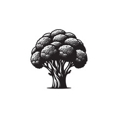 Minimalist Broccoli Silhouette - Broccoli Vector - Illustration of Broccoli.