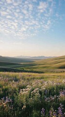 Fototapeta premium Rolling fields adorned with delicate wildflowers create a harmonious blend of colors under the vibrant sky. The atmosphere is calm, inviting wanderers to immerse themselves in nature's embrace