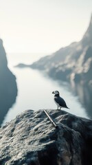 A solitary seabird perched on a rocky cliff overlooking a tranquil sea, creating a serene coastal scene.