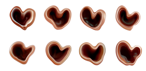 fungus wood ear, jelly ear, auricularia auricula-judae, medicinal mushroom