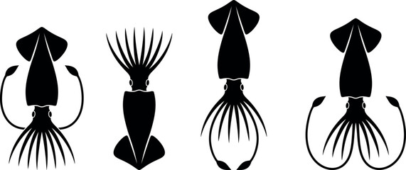 Squid logo. Isolated squid on white background