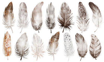 Watercolor set of bird feathers. Hand-drawn brown owl feather clip art on a white isolated background. Vintage feather bunch with soft plumage, perfect for boho and natural-themed prints. © Elena