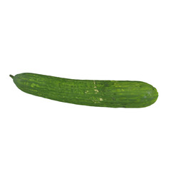 cucumber isolated on transparent background