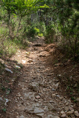 Trekking in the mountains of Calabria