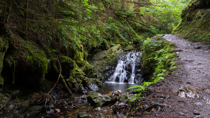 Waterfall Along a Forest Path. A gentle waterfall cascades through moss-covered rocks next to a dirt path in a lush forest. Scotland, UK photo taken on 2024.07.20