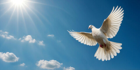 Obraz premium White Dove of Peace in the Air with Wings Wide Open Against Blue Sky