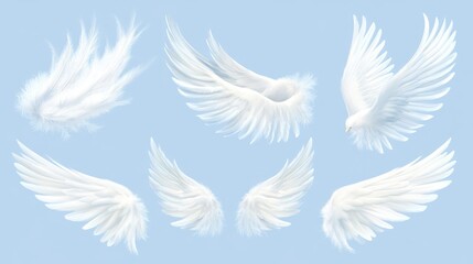 Obraz premium White soft feathers isolated on transparent background. Down or plume from wings of birds or angel, symbol of softness and purity. Realistic design elements, 3d vector illustration, icons set