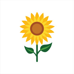 Blooming Sunflower Vector Art with Intricate Petal Details